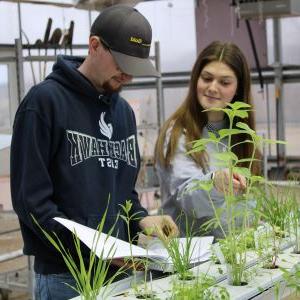 two students observing plants at the greenhouse